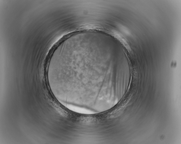 X0000094461023200711291717