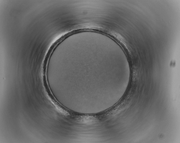 X0000094461024200711291717