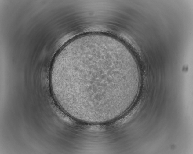 X0000094461025200711291717