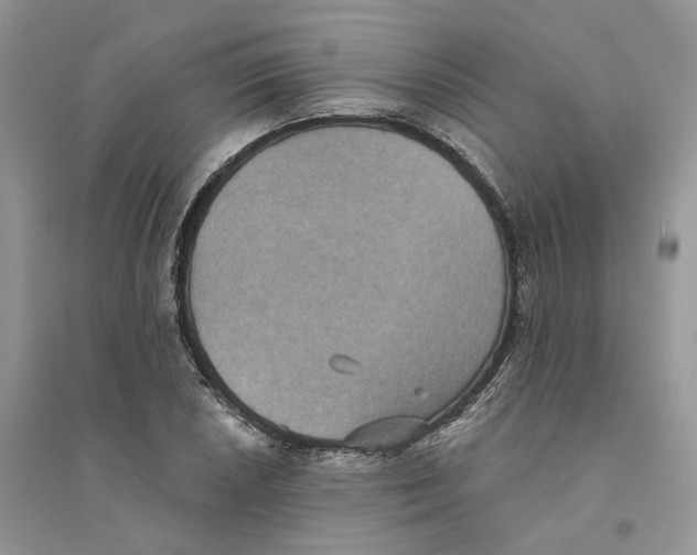 X0000094461026200711291717