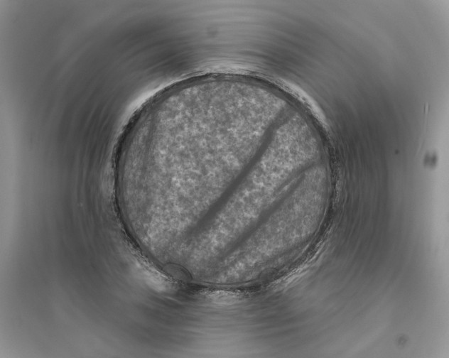 X0000094461027200711291717