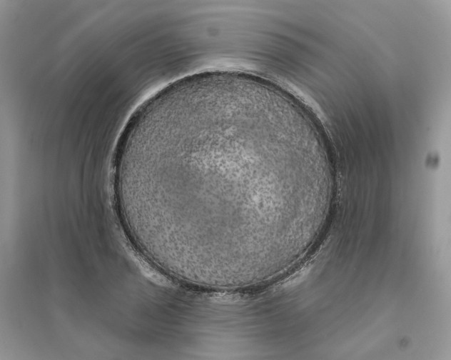 X0000094461029200711291717