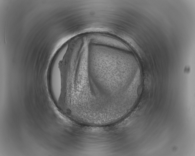 X0000094461030200711291717