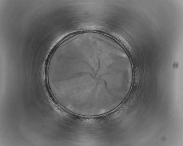 X0000094461031200711291717