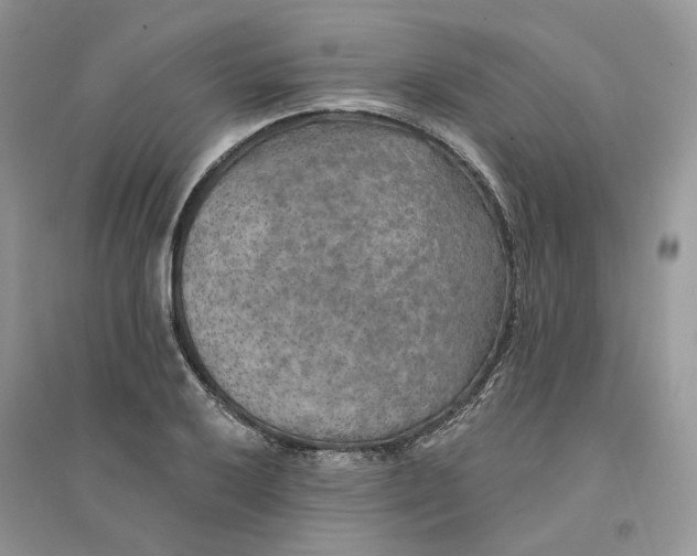 X0000094461032200711291717