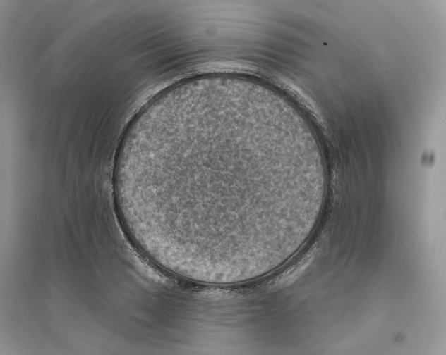 X0000094461033200711291717