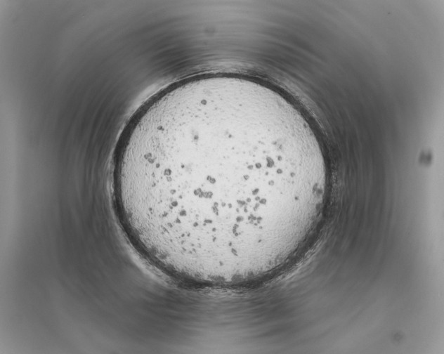 X0000094461034200711291717