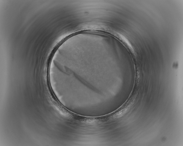 X0000094461035200711291717