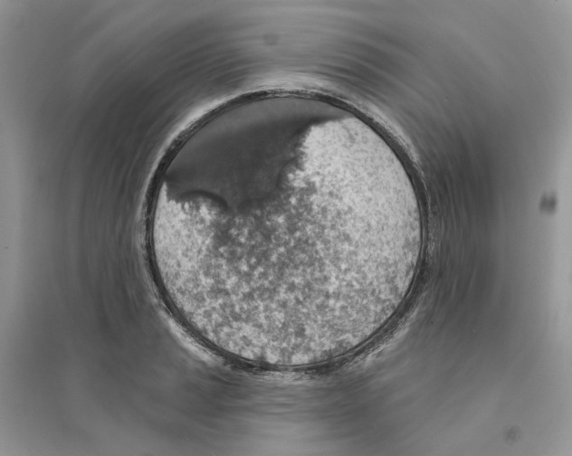 X0000094461037200711291717