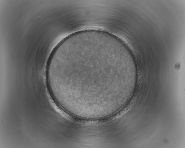 X0000094461038200711291717