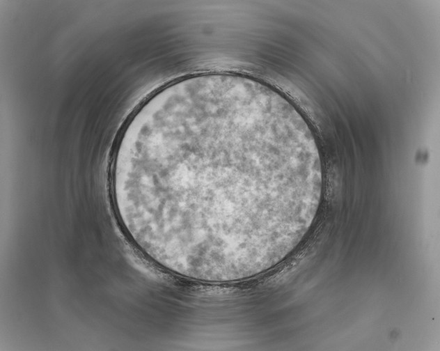 X0000094461039200711291717