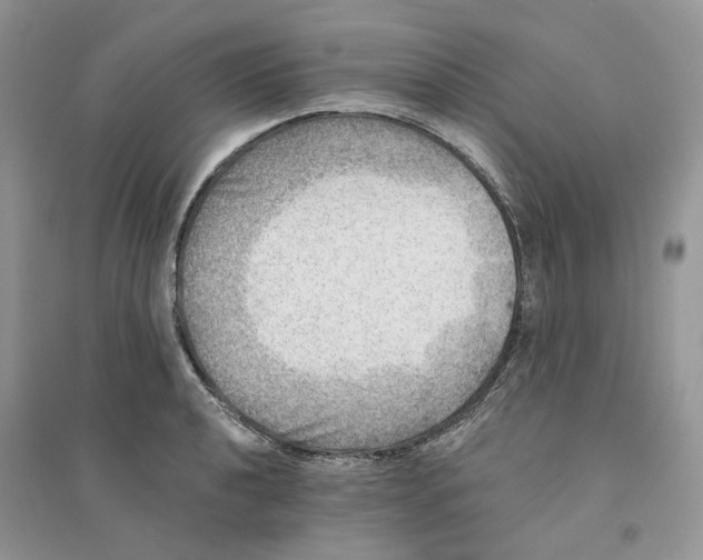 X0000094461040200711291717