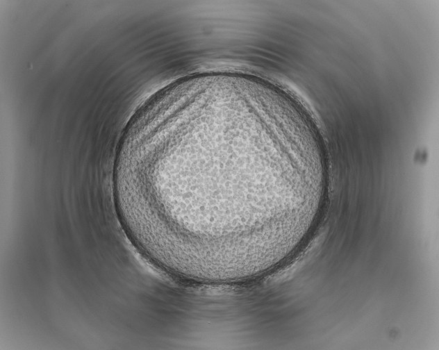 X0000094461041200711291717