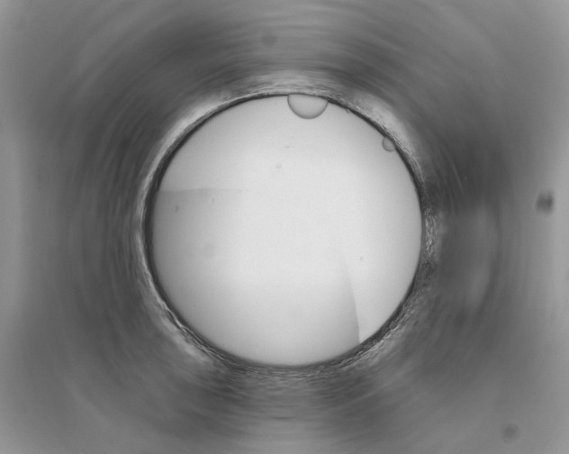 X0000094461043200711291717