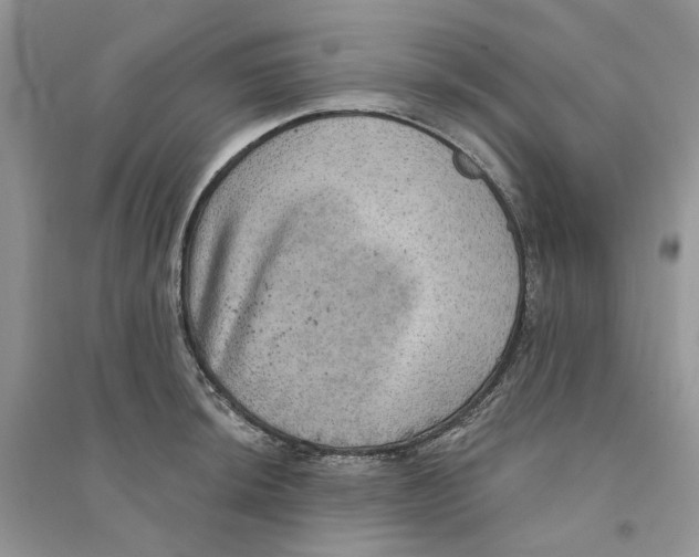 X0000094461044200711291717