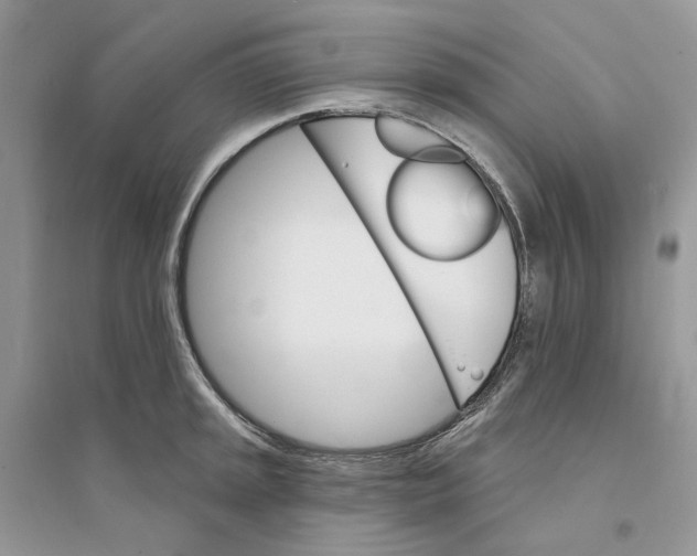 X0000094461045200711291717