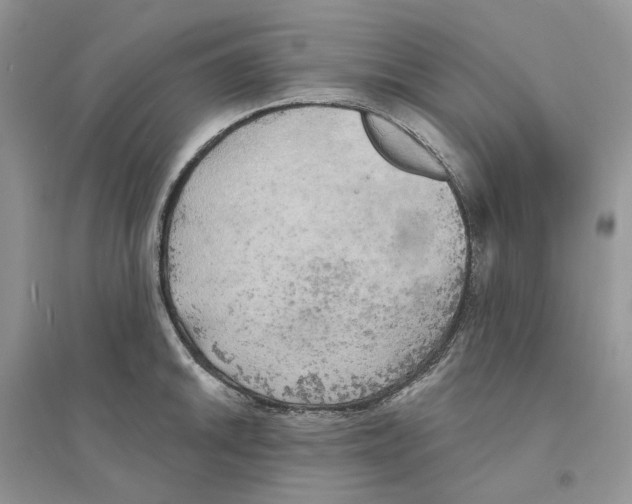 X0000094461046200711291717