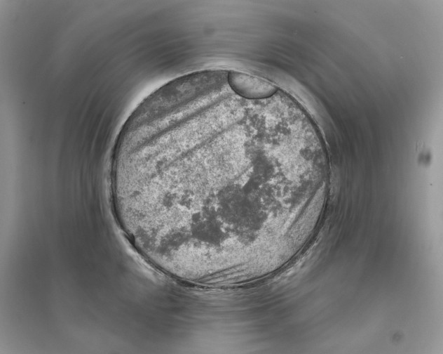 X0000094461048200711291717