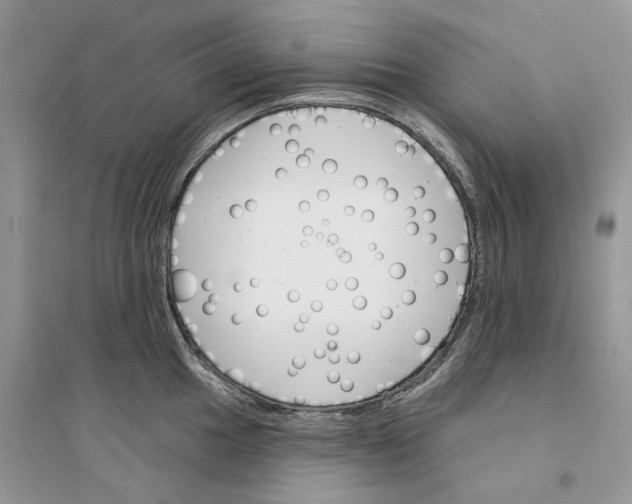 X0000094461049200711291717