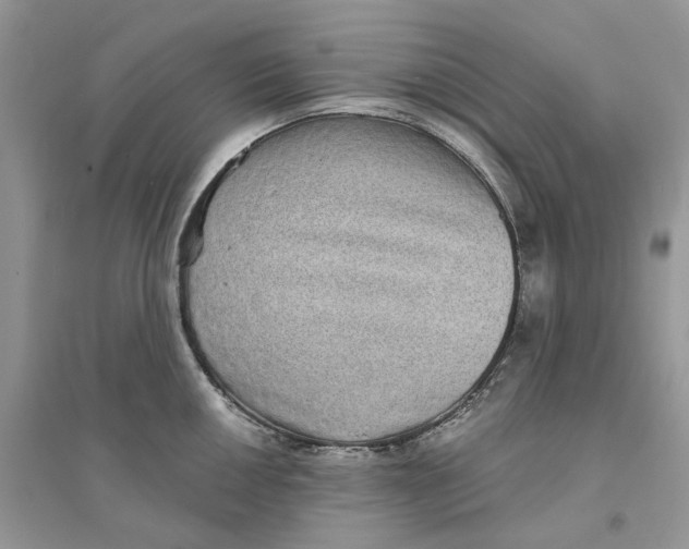 X0000094461050200711291717