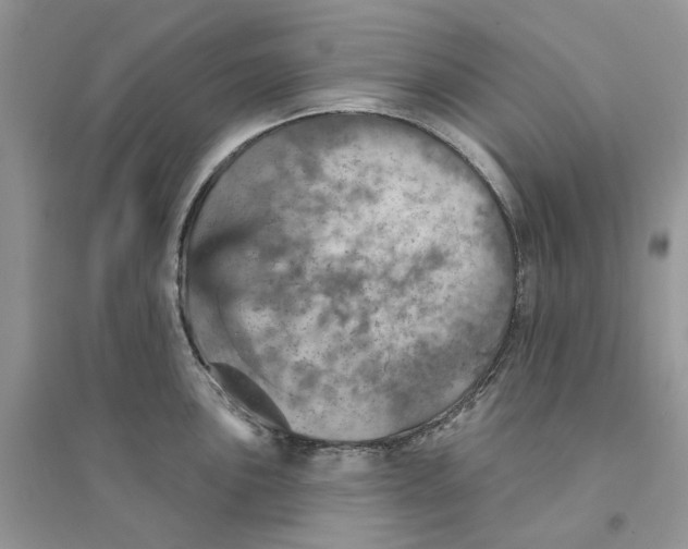 X0000094461051200711291717