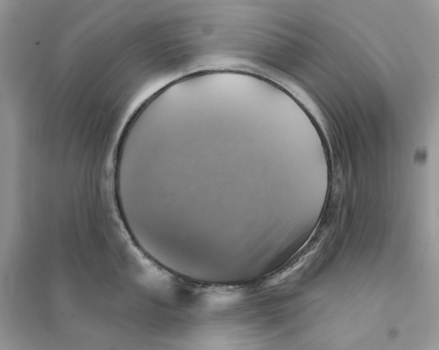 X0000094461053200711291717