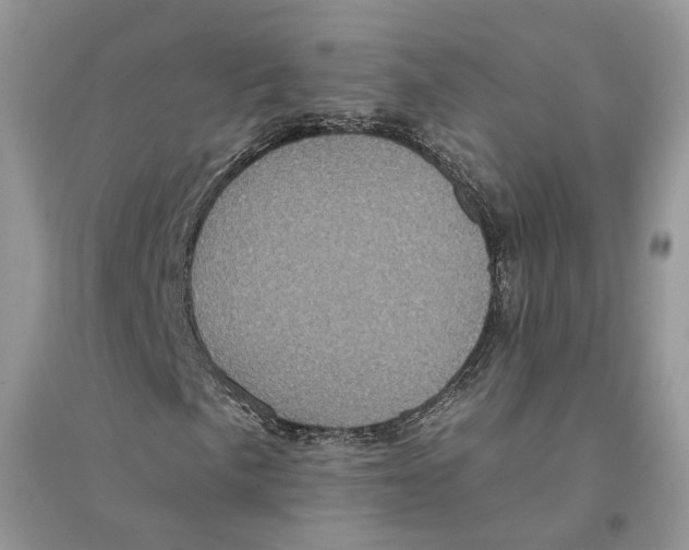 X0000094461057200711291717