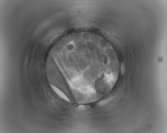 X0000094461059200711291716