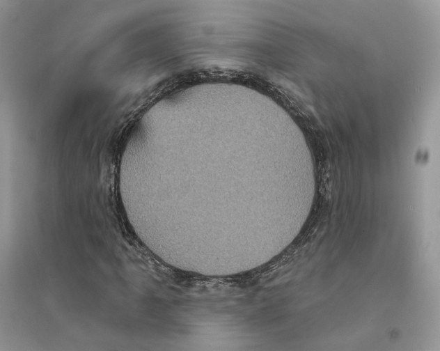 X0000094461061200711291716