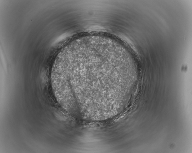 X0000094461063200711291716