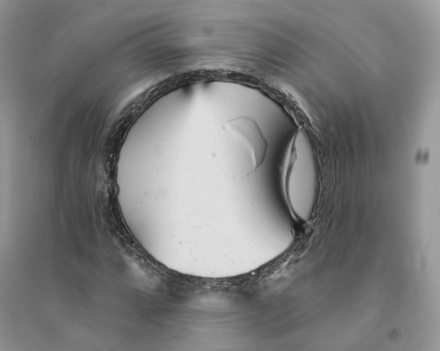 X0000094461064200711291716