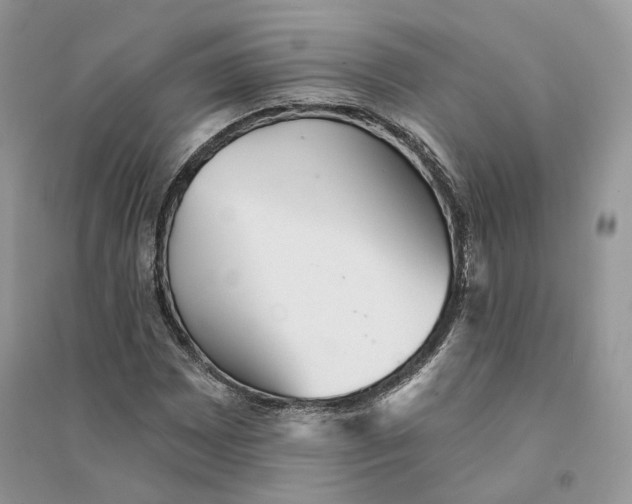 X0000094461065200711291716