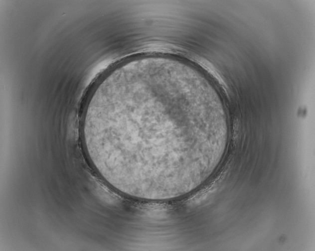 X0000094461067200711291716