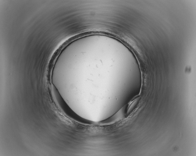 X0000094461068200711291716