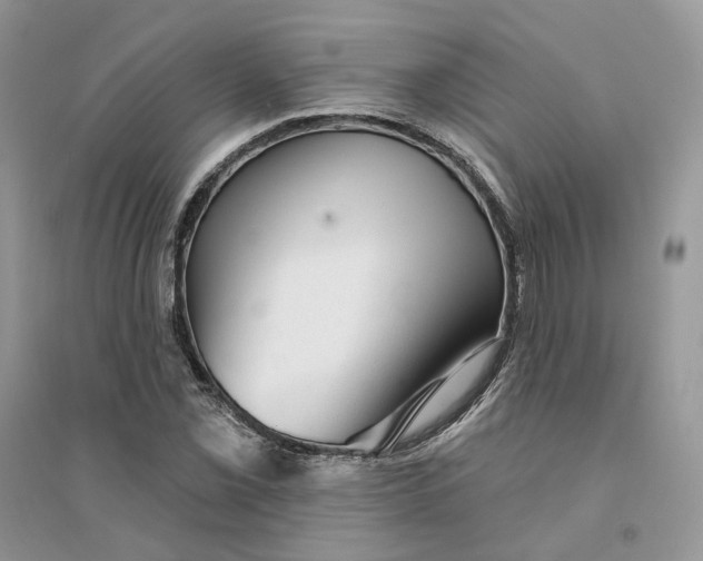 X0000094461069200711291716