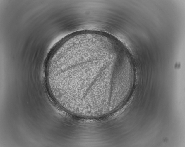 X0000094461070200711291716