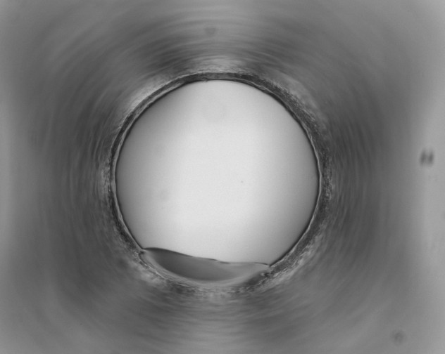 X0000094461073200711291716