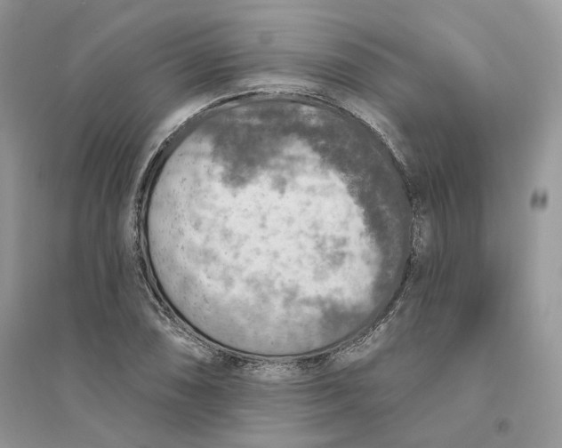 X0000094461074200711291716