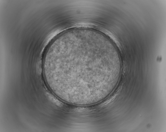 X0000094461075200711291716