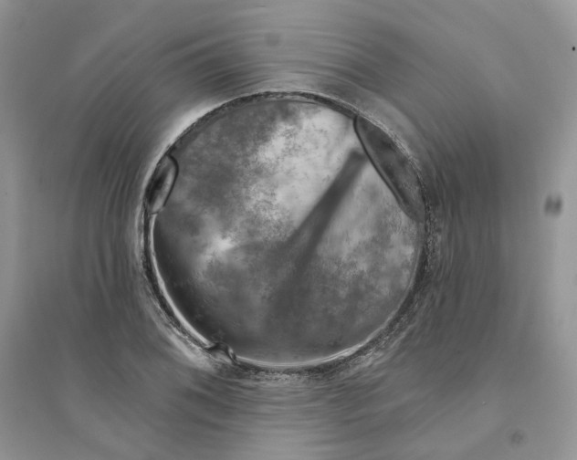 X0000094461076200711291716