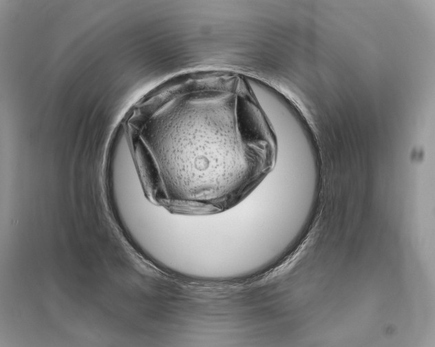 X0000094461077200711291716