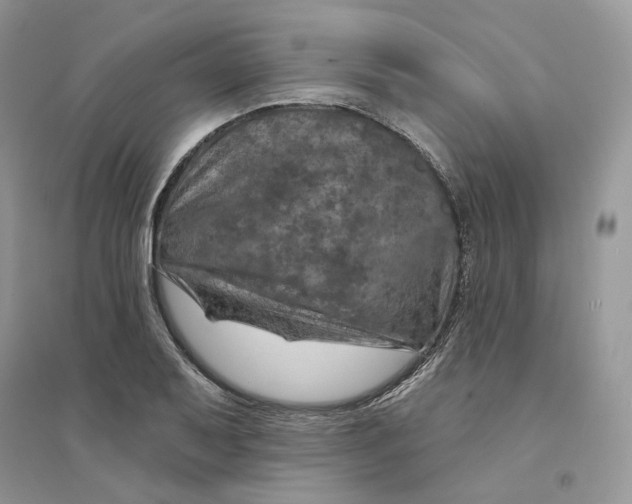 X0000094461079200711291716