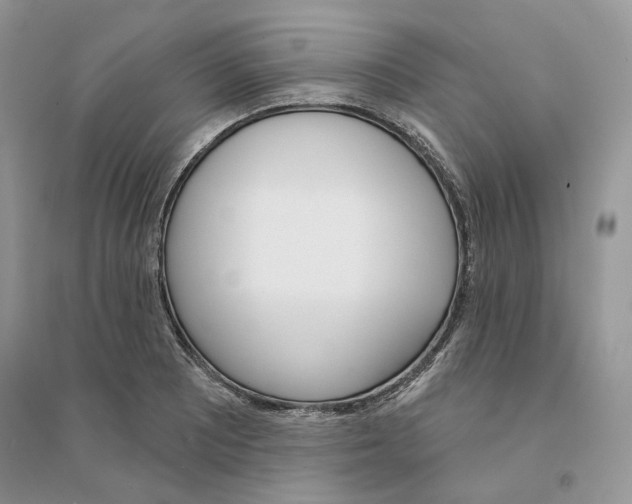 X0000094461081200711291716