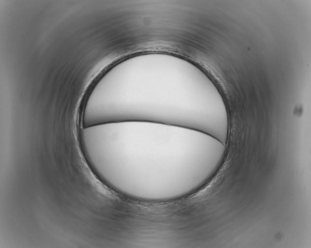 X0000094461082200711291716