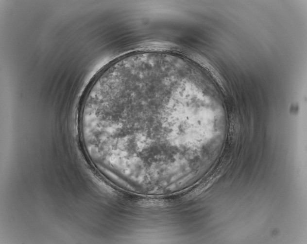 X0000094461083200711291716