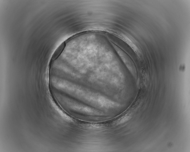 X0000094461084200711291716