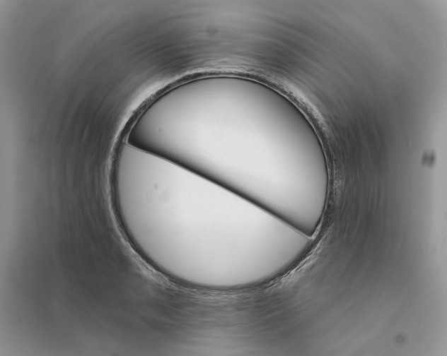 X0000094461085200711291716