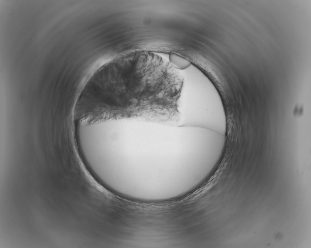 X0000094461087200711291716