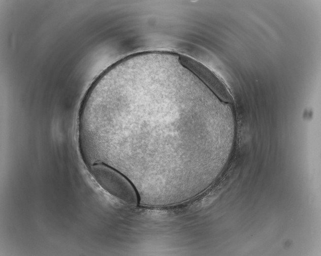 X0000094461088200711291716