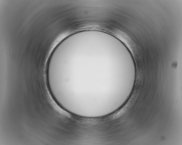 X0000094461090200711291716